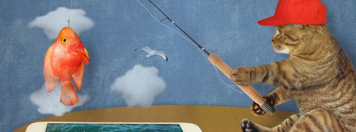 ¿Qué es la catfishing? Todo lo que necesita saber (2023) ¿Qué es la catfishing? Todo lo que necesita saber (2023)